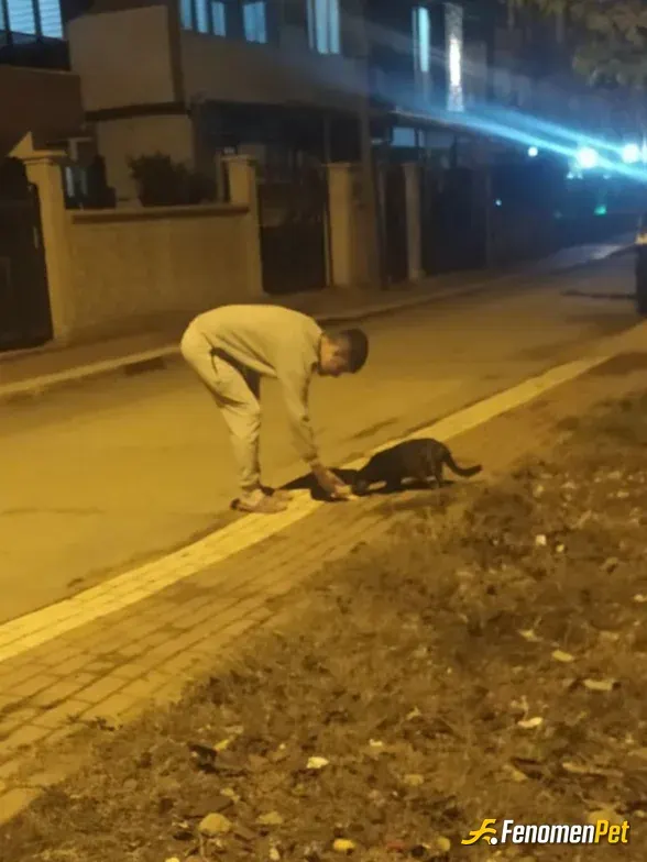 Canbay sokak hayvanını besliyor