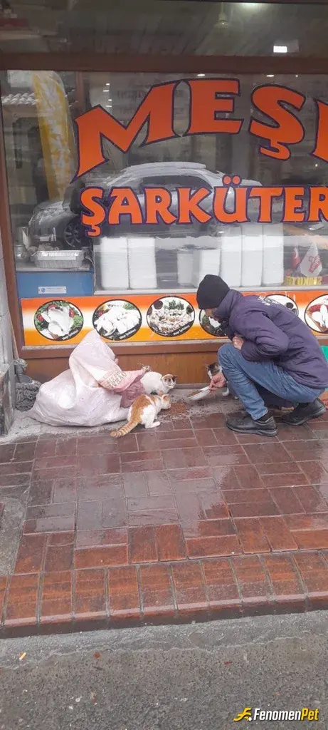 byinan sokak hayvanını besliyor