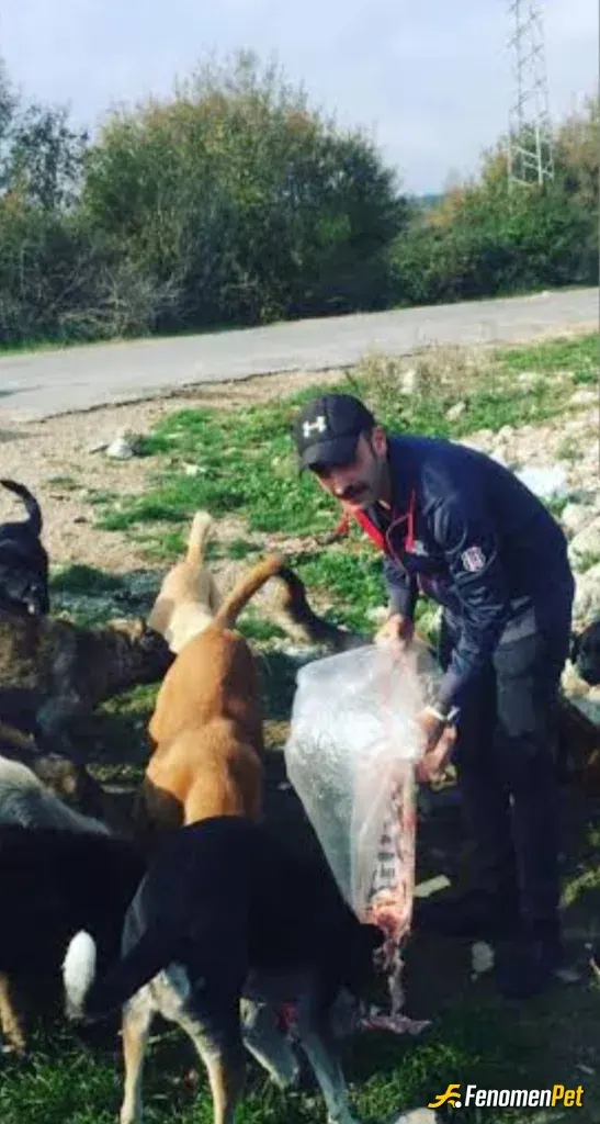 grkn96 sokak hayvanını besliyor