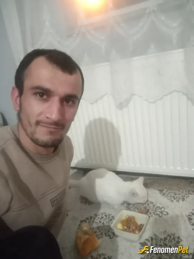 Cihat6565 sokak hayvanını besliyor