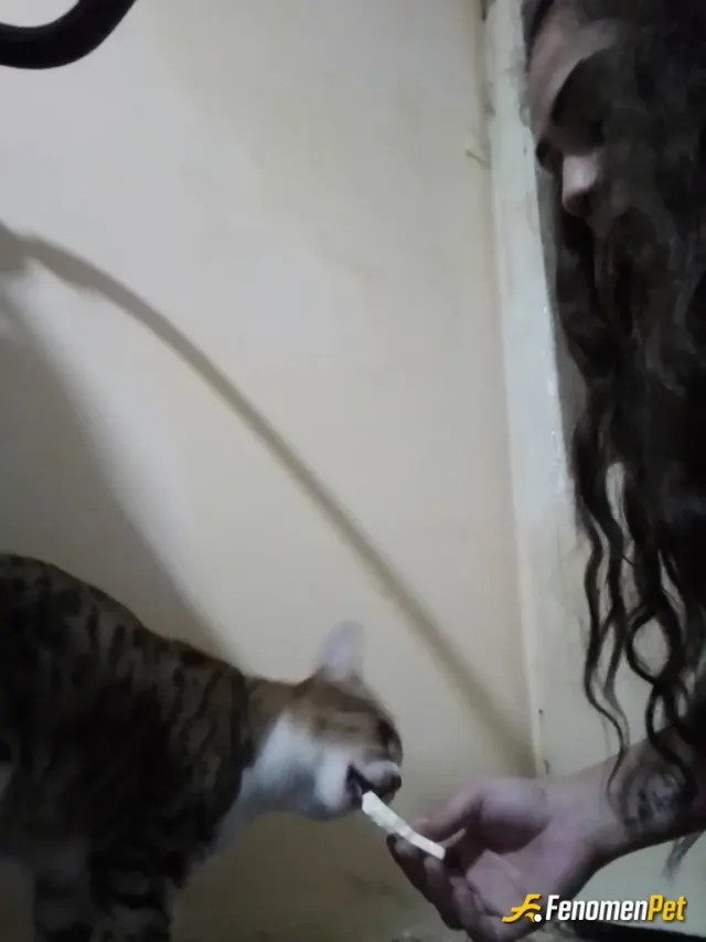 Nurcan0 sokak hayvanını besliyor
