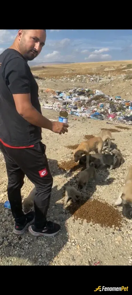 Kralzade12 sokak hayvanını besliyor