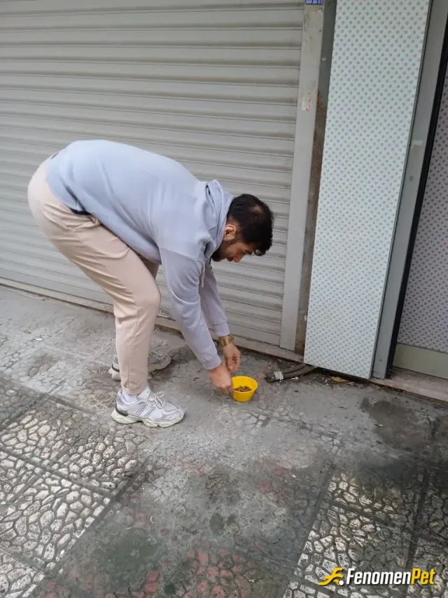 Efk123 sokak hayvanını besliyor