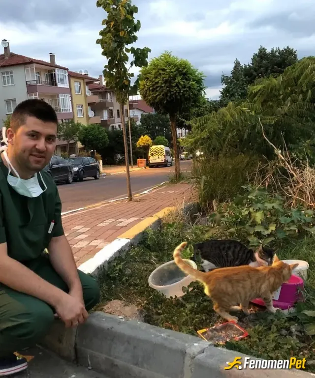 Sokak hayvanı besleme: Klinik önünde misafirlerim akşam yemeği. :) güzel bir duyguydu.