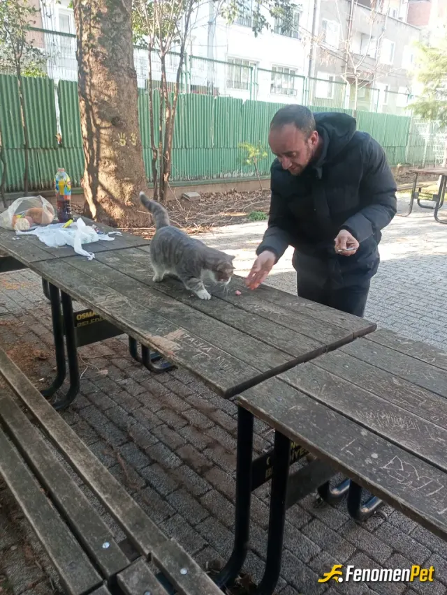 Sokak hayvanı besleme: Okul var Kendi karnımızı doyururken masamiza geldi ve yiyeceğimiz kucuk dostumuzla paylaştık