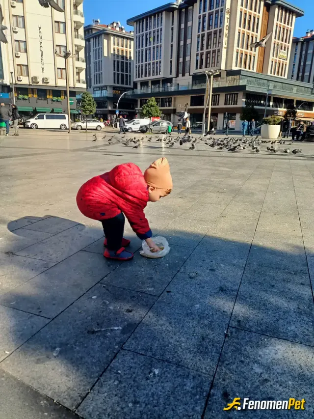 Sokak hayvanı besleme: Biz hemen hemen haftada 2 kez oğlumla kuşları beslemeye gideriz meydana.Hem oğlum hem ben çok mutlu oluruz.Teb