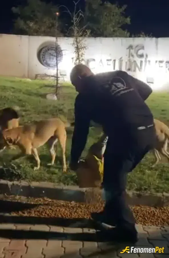 Vlkn92 sokak hayvanını besliyor