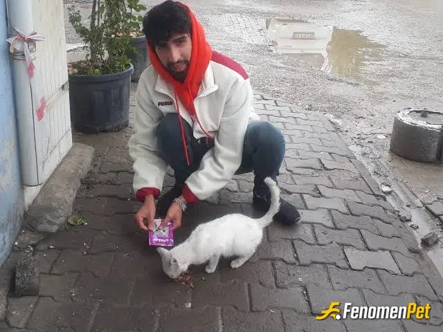 Sokak hayvanı besleme: Karnı açtı besledim