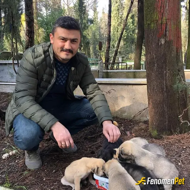 Sokak hayvanı besleme: #Fenomenpet Doğayı Sev Hayvanı Koru