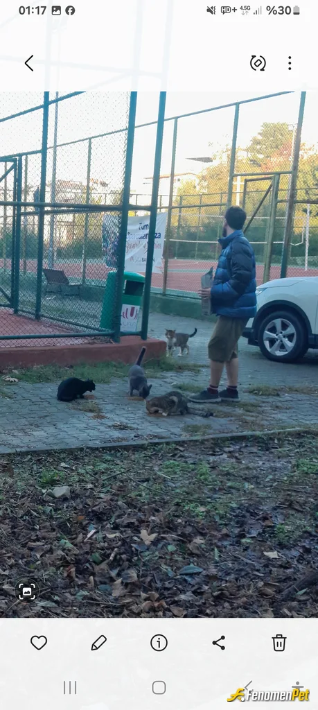 Sokak hayvanı besleme: Slm olsun sokak hayvanları severlerine hergün onlara mamalarını veririm sitemizin girişinde beslerim onları
