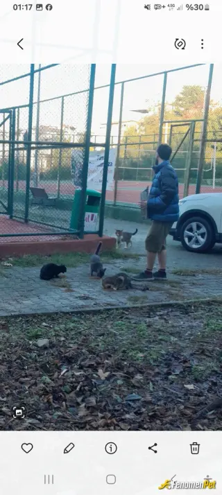 Sokak hayvanı besleme: Slm olsun sokak hayvanları severlerine hergün onlara mamalarını veririm sitemizin girişinde beslerim onları