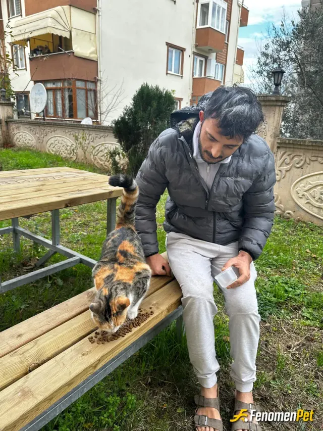 Sokak hayvanı besleme: Allah'ın dilsiz kullarına her zaman bir kap mama
