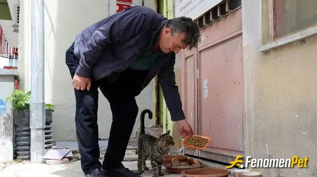 Sokak hayvanı besleme: #Fenometbet sokak hayvanları dostumuzdur
TOLGA02828