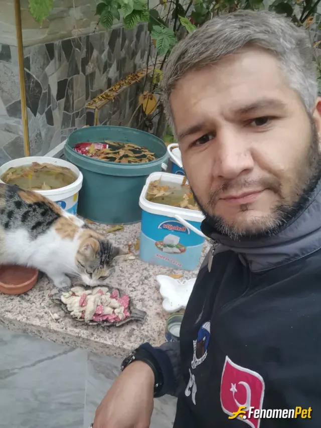 Adem2777 sokak hayvanını besliyor