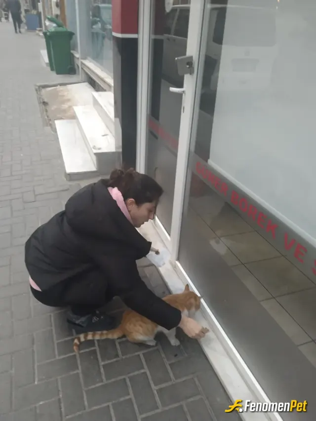 Sbchnf987 sokak hayvanını besliyor