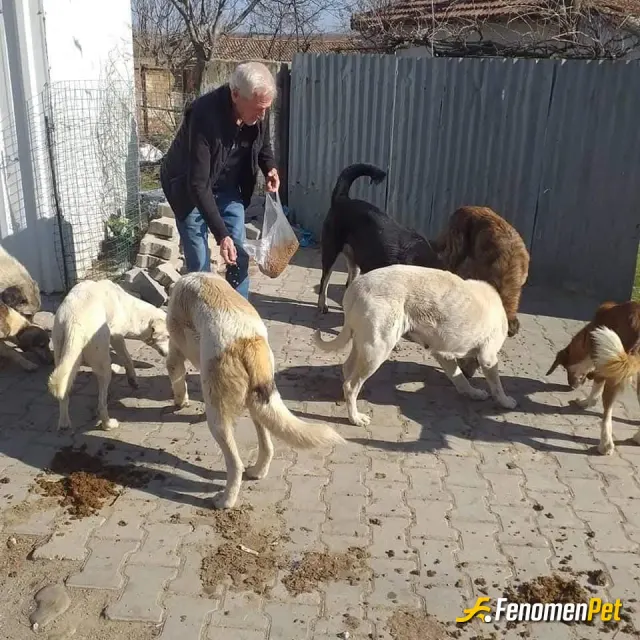 Sokak hayvanı besleme: #Fenomenler Fenomenbet Pati Dostu
Böyle güzel bir etkinliğinden ötürü Fenomenbete Teşekkürler
Can Dostlarım