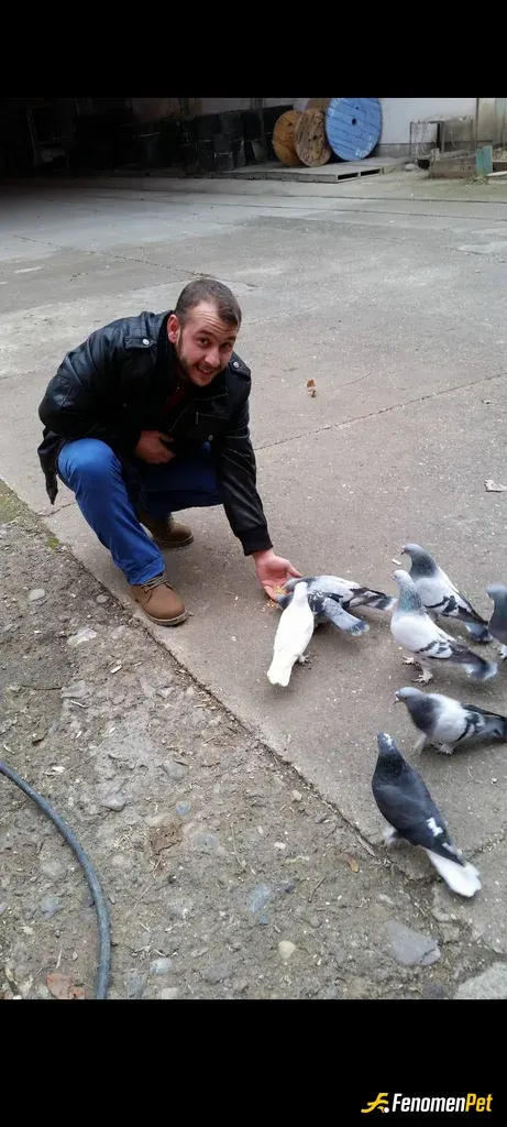 Sokak hayvanı besleme: Güvercinlere buğday alıp ellerimle besledim.