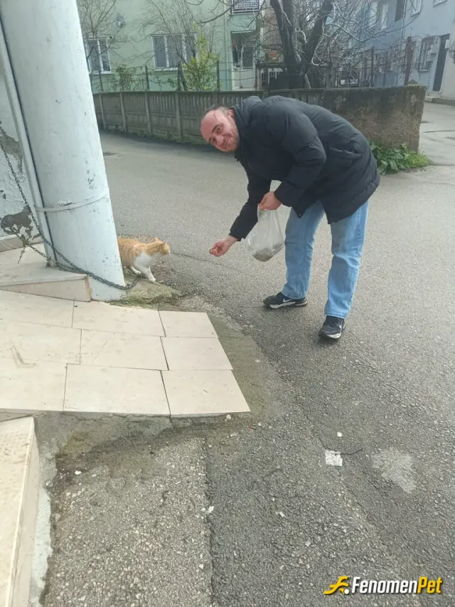 Sokak hayvanı besleme: Biz biseyler yiyorduk hayvanları severiz parkta yanımıza geldi onunla paylastik