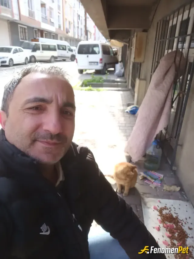 Sokak hayvanı besleme: Kedi yemi ve salam alıyorum kedilere her gün