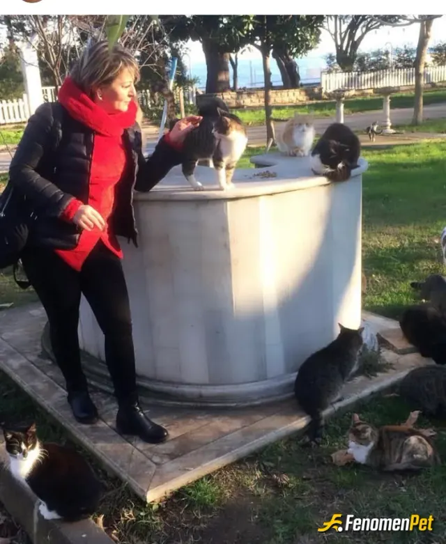 Sokak hayvanı besleme: Hayvan sevmeyen insan sevmez