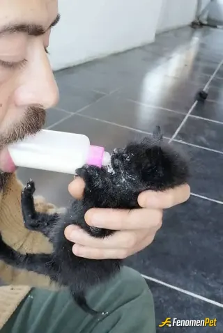 Sokak hayvanı besleme: 🥰