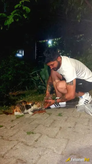 Sokak hayvanı besleme: 🌹