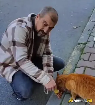 Sokak hayvanı besleme: Dogayı koru hayvanı sev oda can