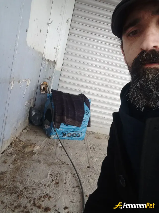 Sokak hayvanı besleme: Elimizden geldiği kadarıyla birşeyler yapmay calistik...