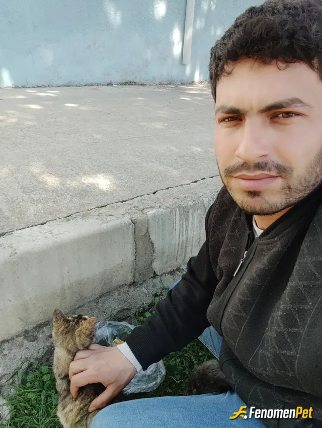 Sokak hayvanı besleme: Çalıştığım kurumun bahçesinde su ve yemek olarak beslemeye çalışıyorum fırsat buldukça