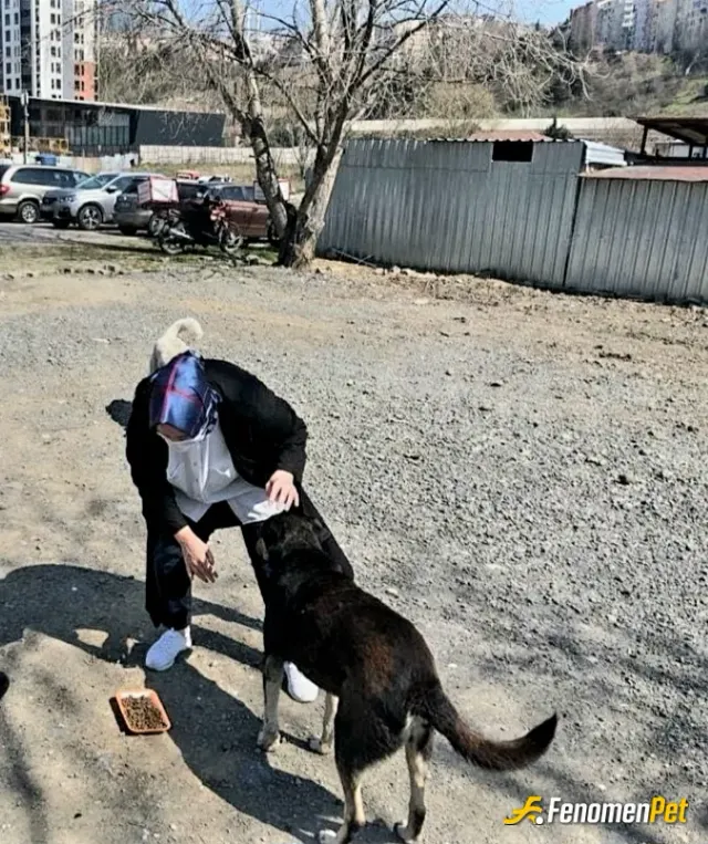 Sokak hayvanı besleme: Canlarim

#Fenomenpet Fenomenbet Pati Dostu

#Fenomenbet - Fenomenbet Patiler de kazanır!