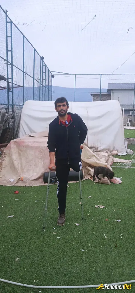Sokak hayvanı besleme: İkinci karın teknkalan yavru  afiyet olsun diyelim 🙏😎