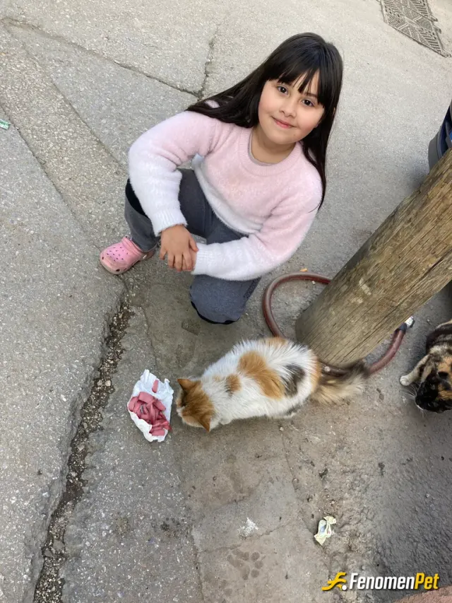 Sokak hayvanı besleme: 😇