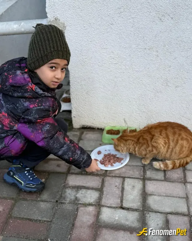 Sokak hayvanı besleme: Patili dostlarımız 🥰🥰