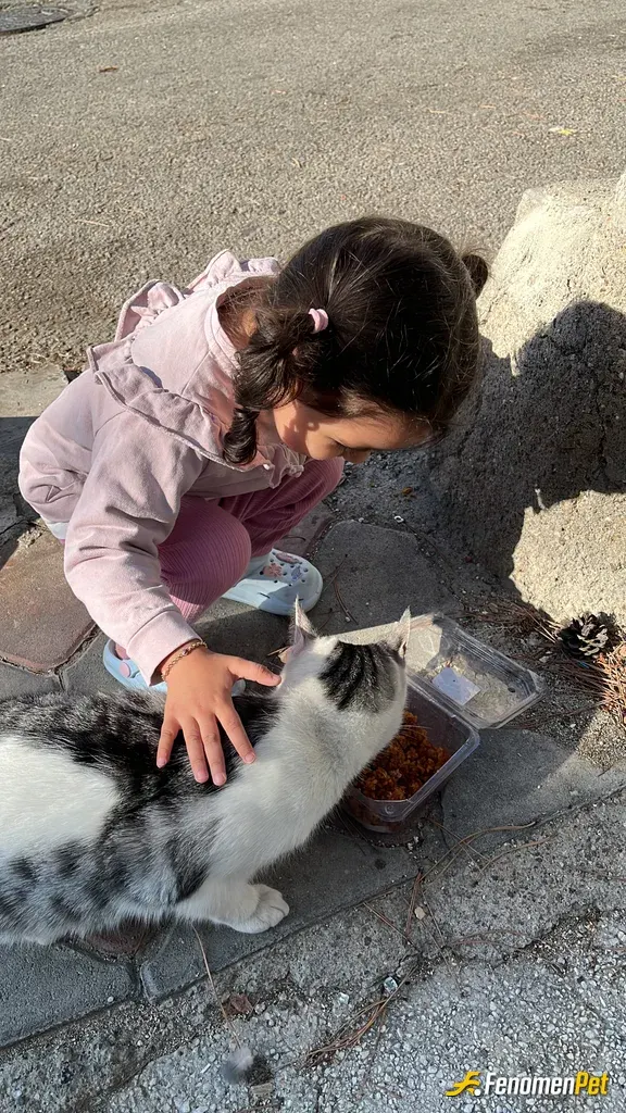 Sokak hayvanı besleme: Herkes bir kap yemek bıraksa dünya güzelleşir bu güzel sorumluluk projesi için teşekkür ediyorum 🥰
