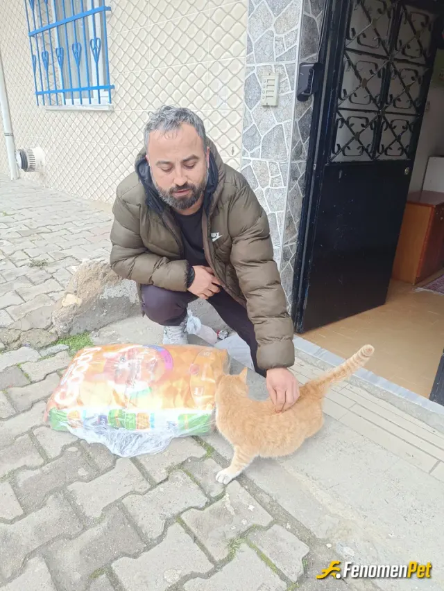 Sokak hayvanı besleme: Ben de sokak hayvanlarını seven bir biriyim tüm canlarımız benim için çok kıymetli kendi imkanlarından mama al