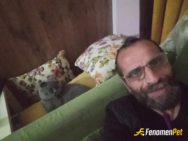 Sokak hayvanı besleme: Yardım yok aynı evi karşılıksız paylaşmak güzelllll
