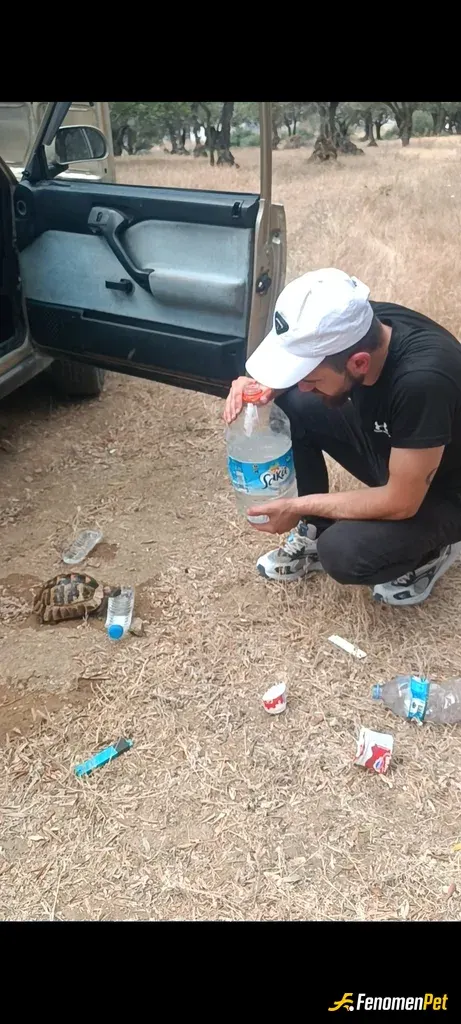 Sokak hayvanı besleme: Sokakta Buldugumuz Ama Doğal ortama uyumlu olmasi gereken  küçük dostumuzu yerine yerlestirdik .