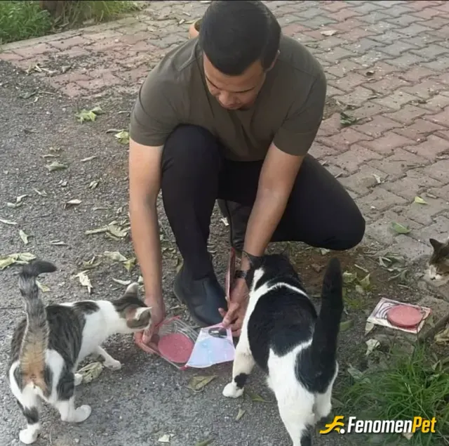 Sokak hayvanı besleme: Mama verdim ve kirlerden arınmaları için duş yaptırdım