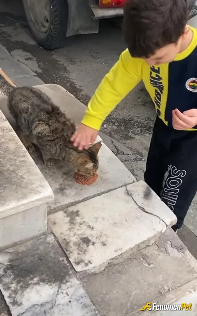Sokak hayvanı besleme: Hergün oğlumla bi sokak hayvanını besliyoruz ✨