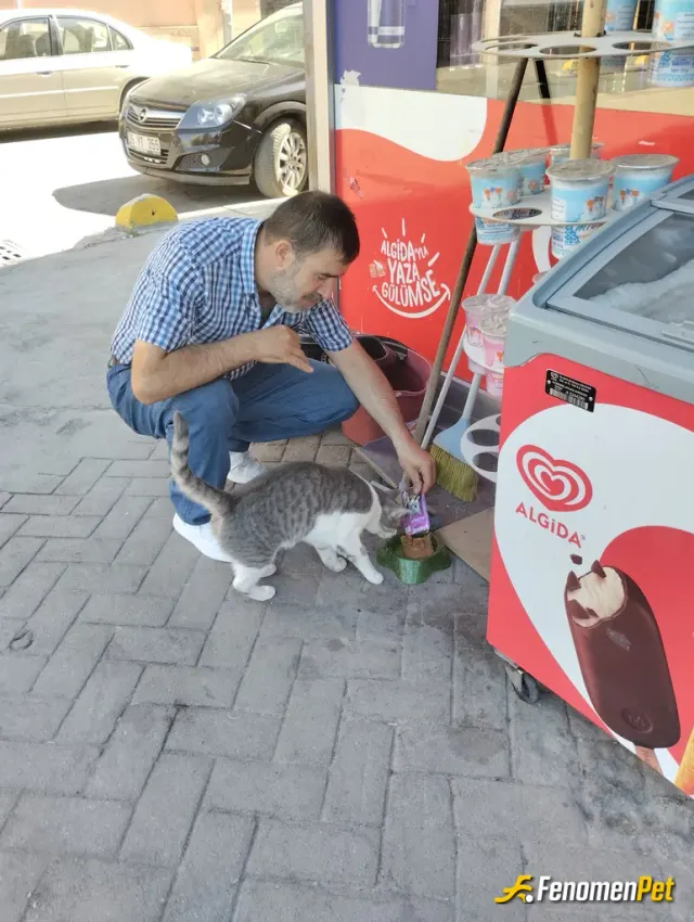 Sokak hayvanı besleme: Canlı yem alıp besledim