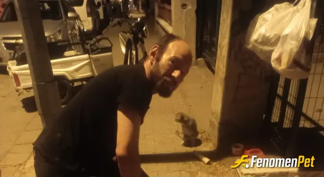 Sokak hayvanı besleme: Akşam üzeri sokak hayvanları için mama su koymaya devam