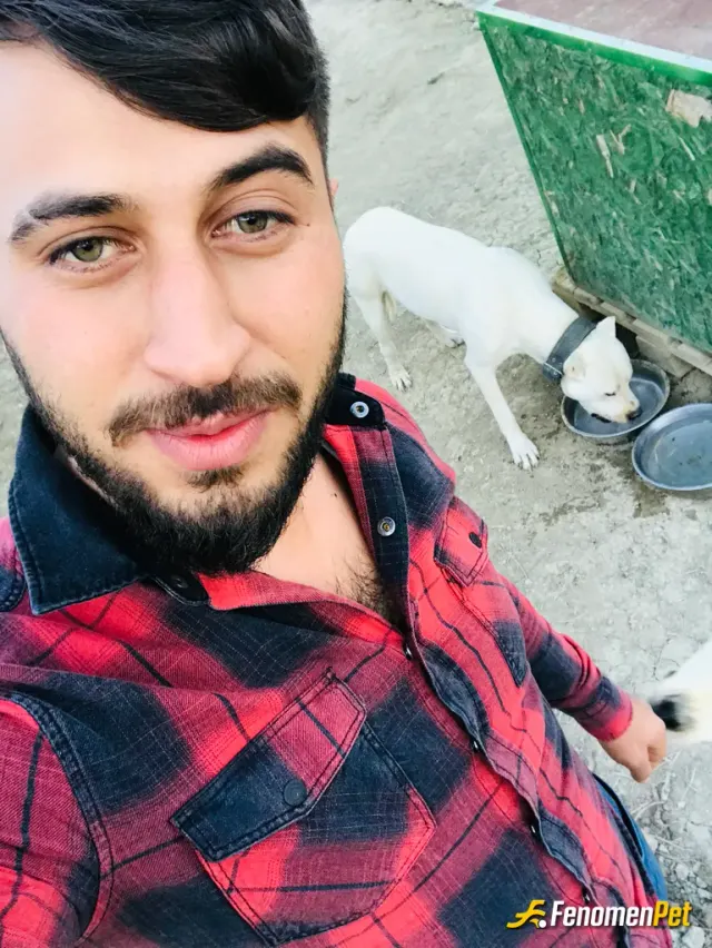 Sokak hayvanı besleme: Su verdim sıcak havada