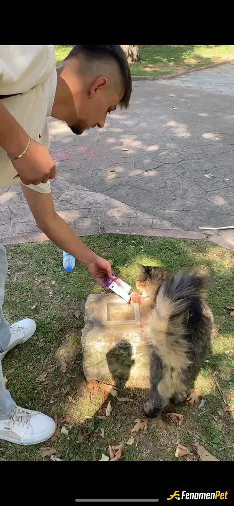 Sokak hayvanı besleme: marketten yaş mama alıp besledim :)