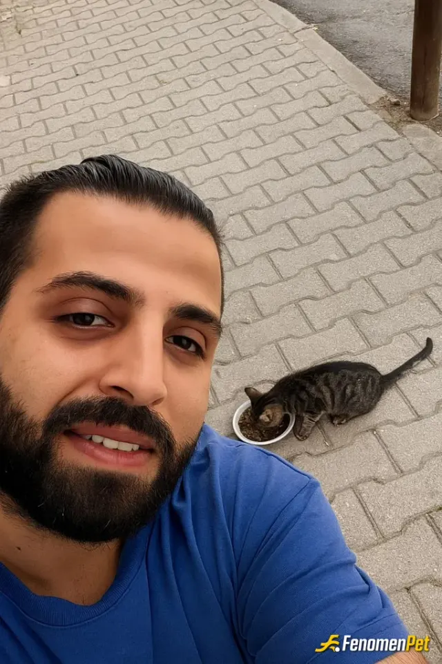 Sokak hayvanı besleme: Merhaba, Sokağımın başında tüylü mü tüylü bu yavruya annelik eden tatlı övey anneleri bide bunun tatlı kardeşi