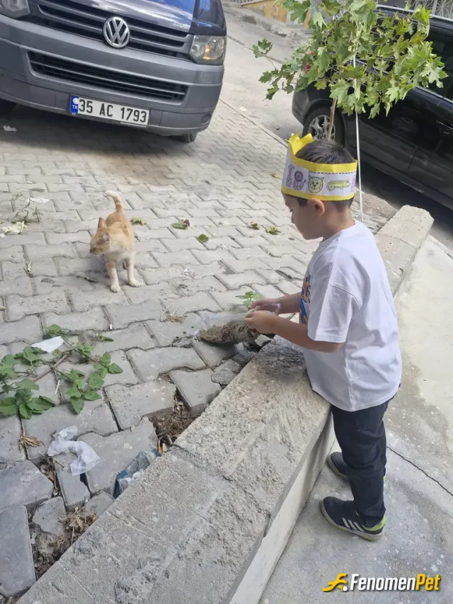 Sokak hayvanı besleme: Oğlum ile birlikte her hafta sonu sokaktaki canlarımızı bekleriz.