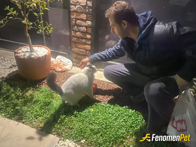 Sokak hayvanı besleme: Elimden geldiğince su mama ve barınma ihtiyaçlarını karşılamaya çalışırım canların