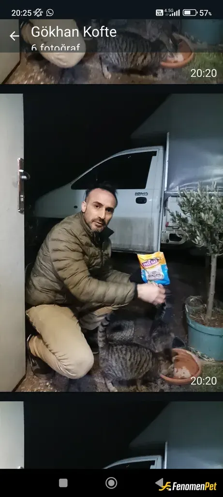 Sokak hayvanı besleme: Bugünkü günlük dostlarımızın beslemesi tamamlanmıştır.