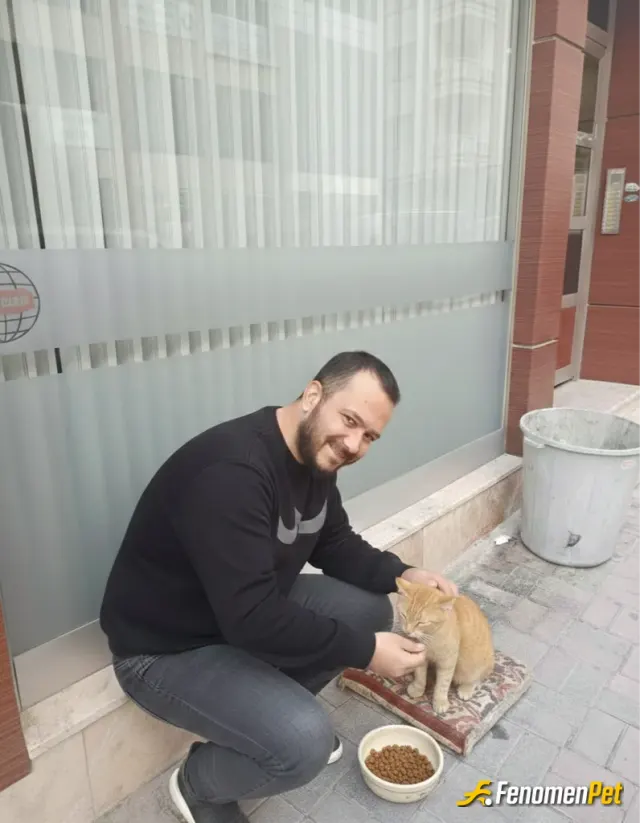 Sokak hayvanı besleme: Uykusundan yeni uyanmış bir kedi bırakıyorum buraya her gün dükkanı beraber açıyoruz :)
#Fenomenpet Fenomenbe