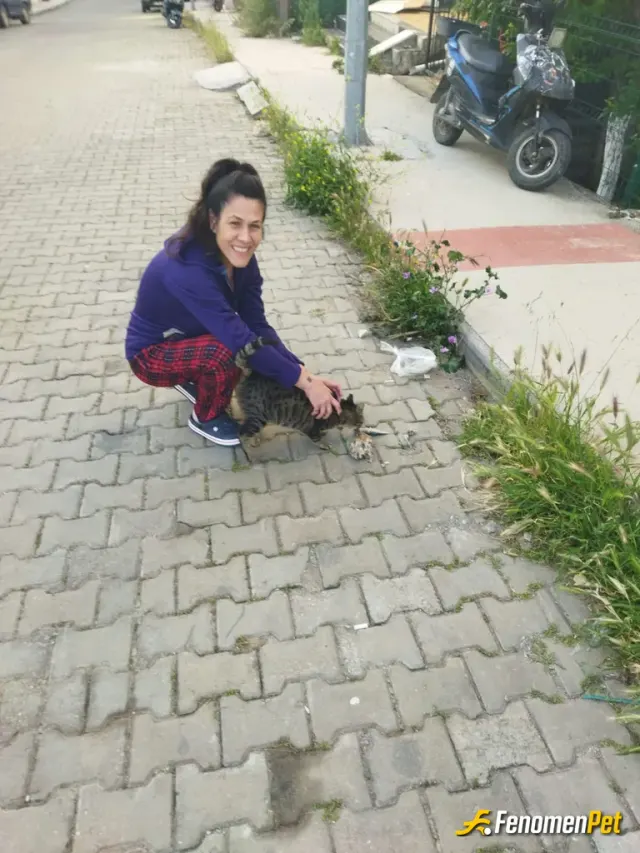 Sokak hayvanı besleme: Kedi sahibi olarak hem kendi oğlum hemde sokaktaki yavrulari beslemek ve korumaktan mutluluk duyuyorum 👍