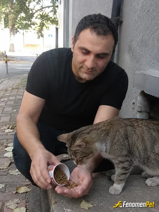 Sokak hayvanı besleme: Her zaman çevremdeki sessiz canlara yardım etmeyi severim